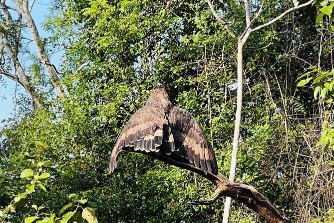 Udawalawa Wild Life Safari - Who should book this Udawalawe safari (and who might pass)