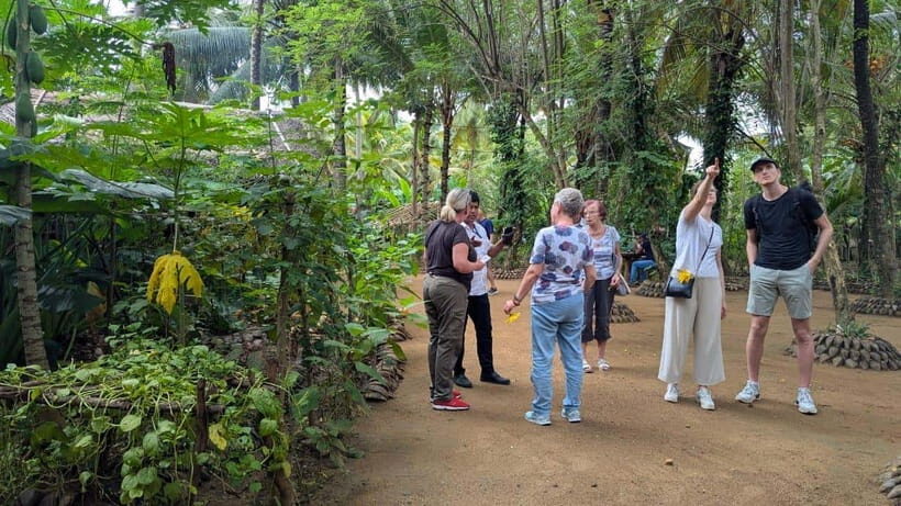 Udawalawe: Farm to Table Cooking & Authe: Village Experience - Cinnamon Tea Welcome: Why the Start Matters