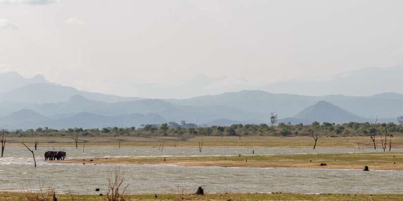 Udawalawe National Park Private Full-Day Safari - Key points to know before you go