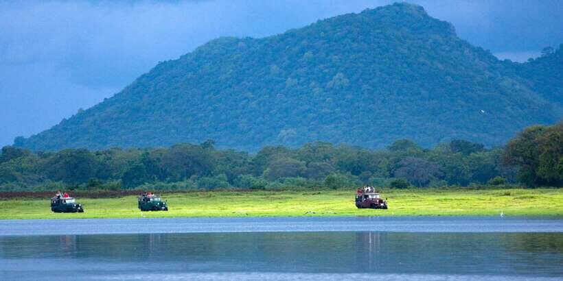 Udawalawe National Park Private Full-Day Safari - Your full-day route: from the park gate to peak wildlife areas