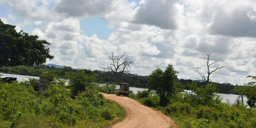 Udawalawe National Park Private Full-Day Safari - Beyond elephants: watch the smaller wildlife