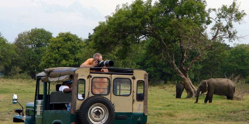 Udawalawe National Park Private Full-Day Safari - The guide makes or breaks the viewing
