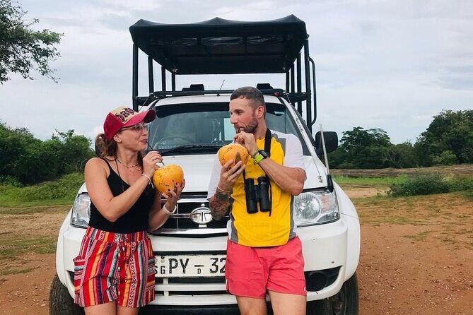 Udawalawe National Park Private Safari Tour - Price and value: why $28 can make sense here