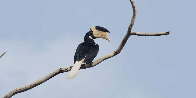 Udawalawe National Park Safari and Elephant Transit Home - Key Things I’d Plan Around