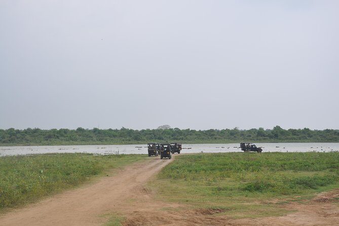 Udawalawe National Park Safari from Bentota - What about the animals you might not see?