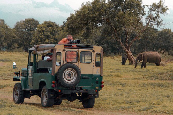 Udawalawe National Park Safari from Galle - Price and value from Galle: is $107 a fair deal?