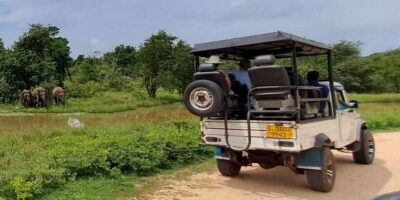 Udawalawe National Park Safari Tour - The Jeep Ride Rhythm: How the Timing and Stops Affect Your Chances