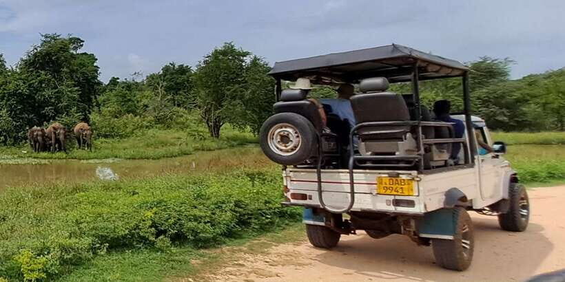 Udawalawe National Park Safari Tour - The Jeep Ride Rhythm: How the Timing and Stops Affect Your Chances