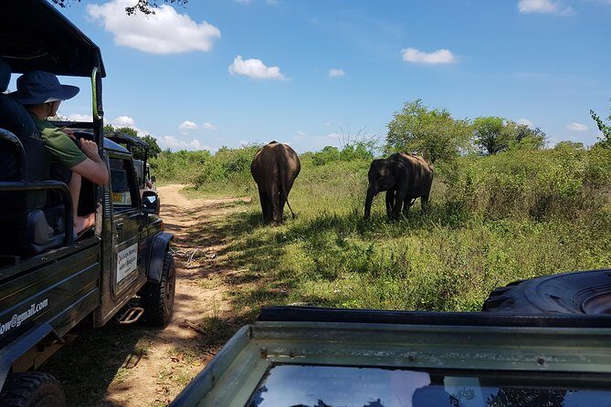 Udawalawe National Park Safari trip from Galle/Mirissa/Ella - Your comfort and pacing: private jeep, tracker, and small-group time