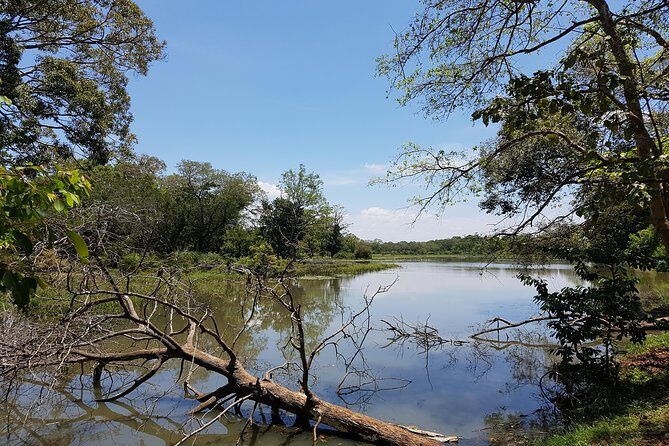 Udawalawe National Park Safari trip from Galle/Mirissa/Ella - Price and value: is $190 per person a fair deal?