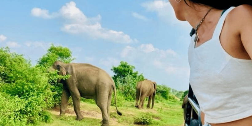 Udawalawe National Park: Safari with Experienced Driver - The 3.5 Hours Inside Udawalawe: How the Park Time Feels