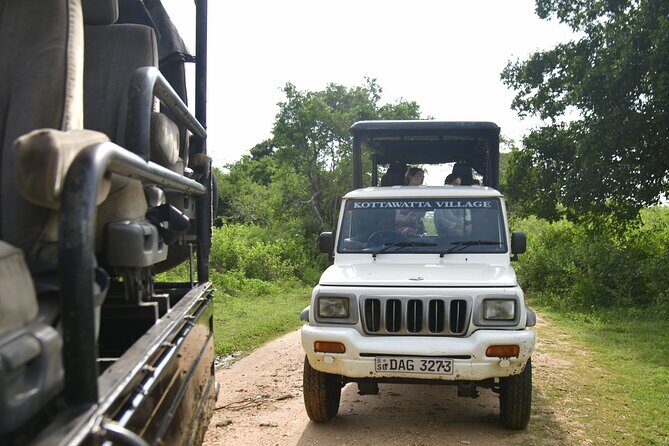 Udawalawe National Park Wildlife Safari Tours - Udawalawe wildlife viewing with a conservation-respect lens