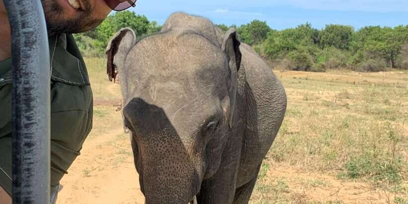 Udawalawe National park with Safari jeep & Entrance ticket - The Udawalawe start: pickup, transfer, and what the timing really means