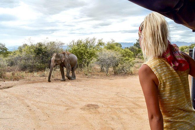Udawalawe Private Safari frm Hambantota Port by BTM-All Inclusive - Hambantota Port to Udawalawe: the ride that sets the tone