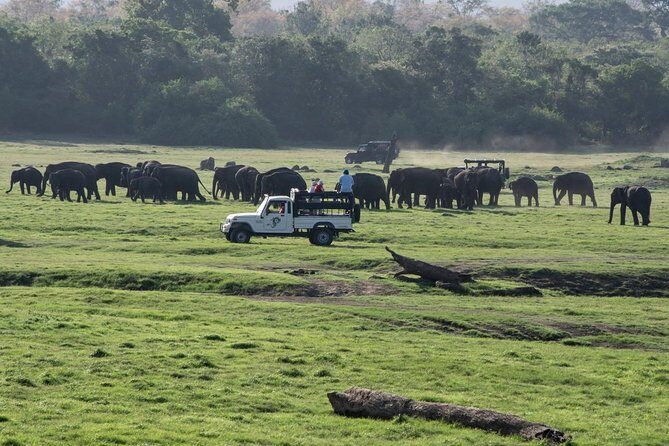 Udawalawe Private Safari frm Hambantota Port by BTM-All Inclusive - Price and value: is $135 per person a fair deal?