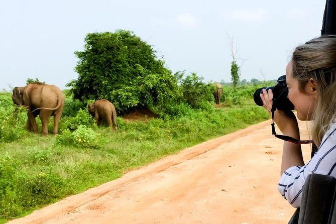 Udawalawe Private Safari frm Hambantota Port by BTM-All Inclusive - Practical tips: how to get the most out of your safari day