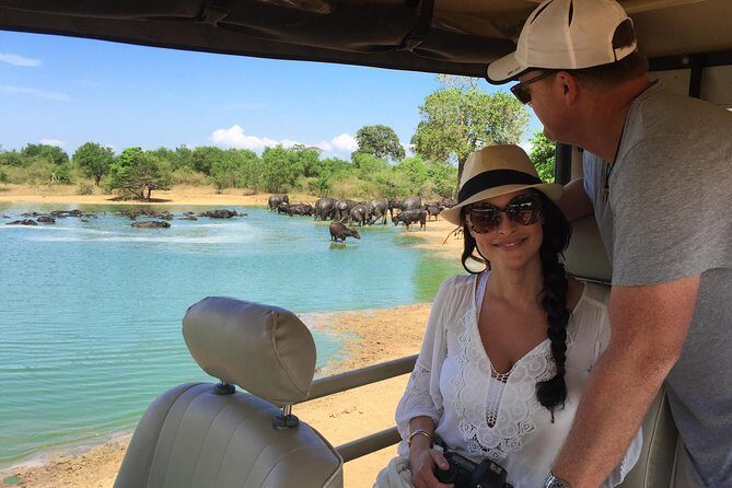 Udawalawe Private Safari frm Hambantota Port by BTM-All Inclusive - Why the safari jeep and private setup feels worth it