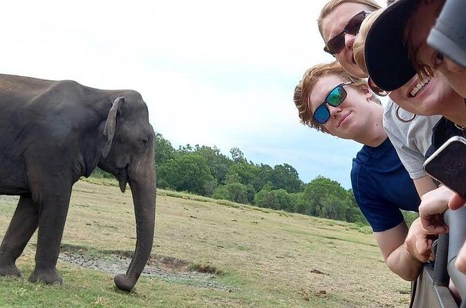 Udawalawe Safari Adventure - FAQ