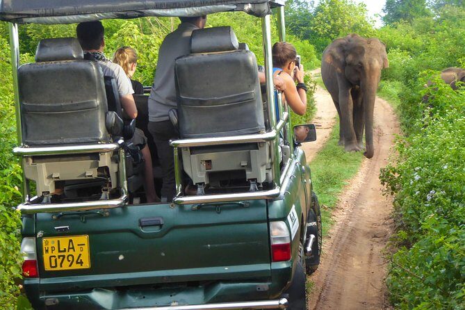 Udawalawe Safari Day Trip from South Region & Transfer to Ella - Booking tips that make a difference