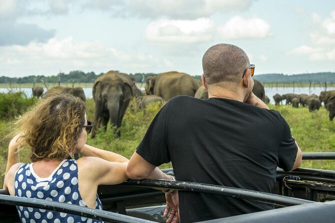 Udawalawe Safari Day Trip with Return Transport - All Inclusive - Udawalawe National Park: why this safari feels different