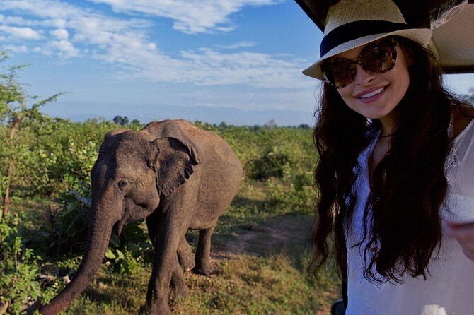 Udawalawe Safari Day Trip with Return Transport - All Inclusive - Lunch and pacing: staying comfortable during a long wildlife day