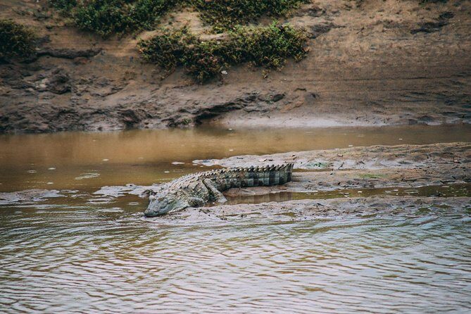 Udawalawe Safari DayTrip frm Bentota/Kalutara/Ahungalla/Hikkaduwa - What kind of traveler should book this?