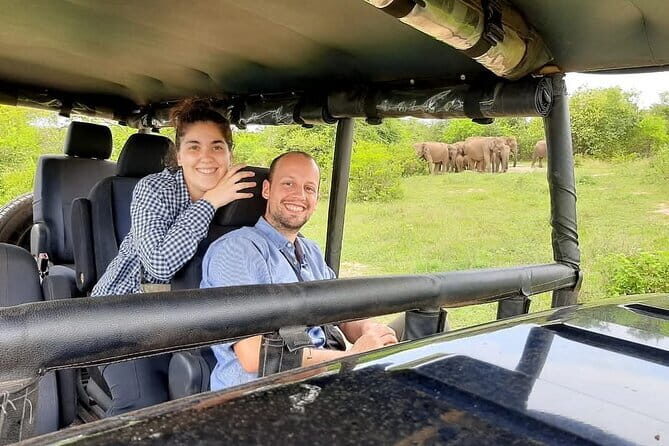 Udawalawe Safari & Elephants Orphanage tour from Hambantota port - Elephants, water buffalo, deer, and the birds you’ll notice on the edges
