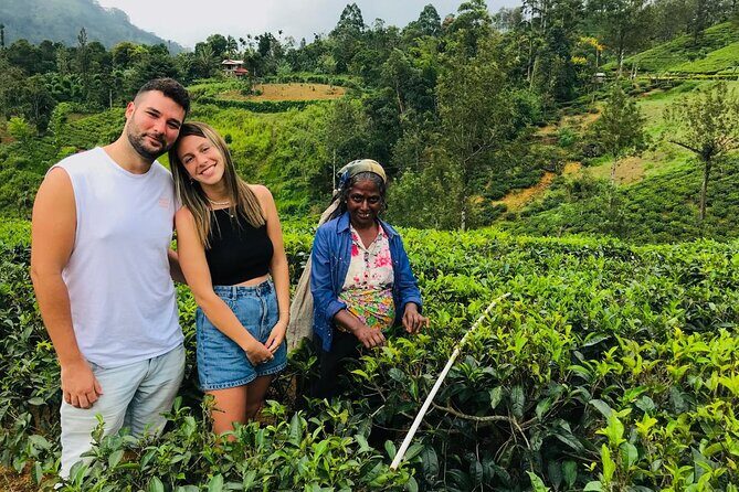 Ultimate 8-Day Sri Lanka Adventure: Private Guided Tour - Key things that make this tour worth your attention