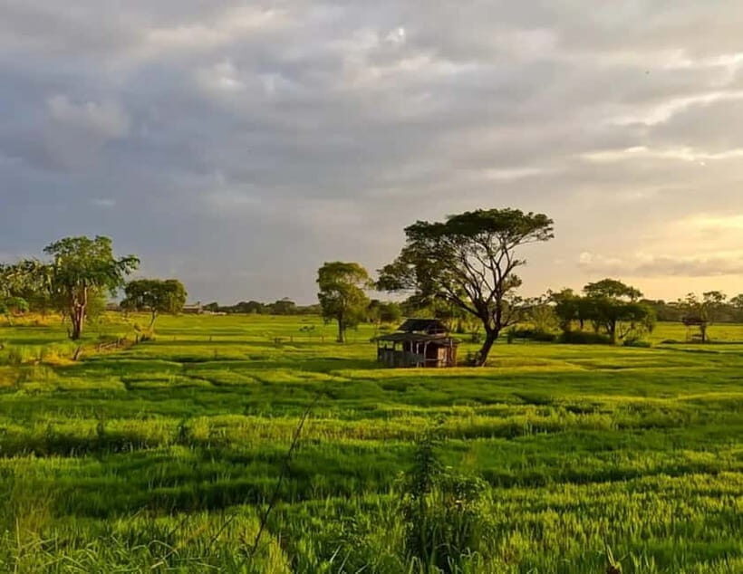 Unseen Sigiriya: Village & Rock Viewpoints by Tuk Tuk - Wildlife Encounters You Might Spot Along the Way