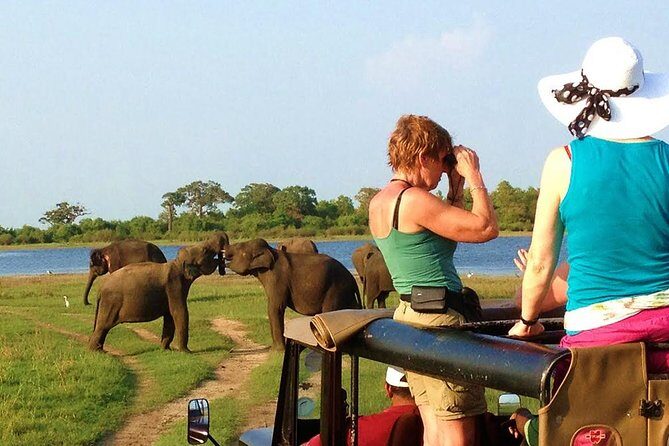 VALUE PACK! One Day Safari Tour to Yala and Udawalawa Parks - Why this one-day Yala and Udawalawe combo makes sense
