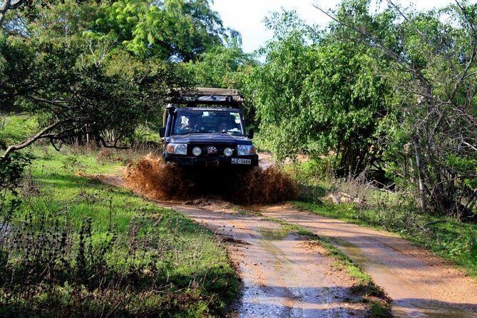 VALUE PACK! One Day Safari Tour to Yala and Udawalawa Parks - Udawalawe National Park: More close elephant time in three hours