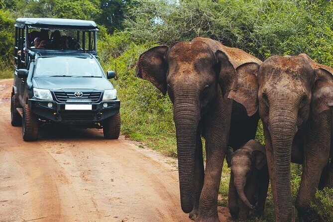 VALUE PACK! One Day Safari Tour to Yala and Udawalawa Parks - Elephant Transit Home: the included stop and the real timing trade-off