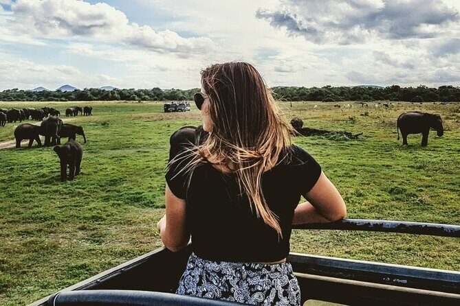 VALUE PACK! One Day Safari Tour to Yala and Udawalawa Parks - The real-life trade-offs: long hours, bumpy roads, and language levels