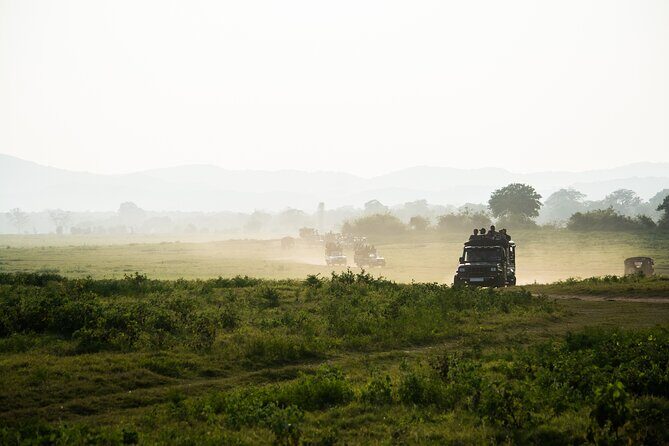 VALUE PACK! One Day Safari Tour to Yala and Udawalawa Parks - Who should book this safari day?