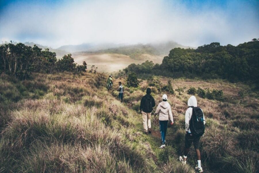 Visit Horton plains and Nuwara Eliya from Ella - Should you book it: my straight answer