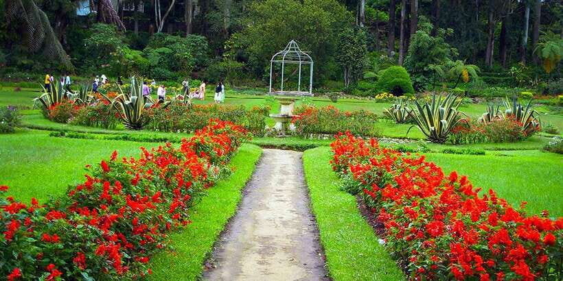 Visit Horton plains and Nuwara Eliya from Ella - Timing and transport: a full 8 hours with a shared vehicle
