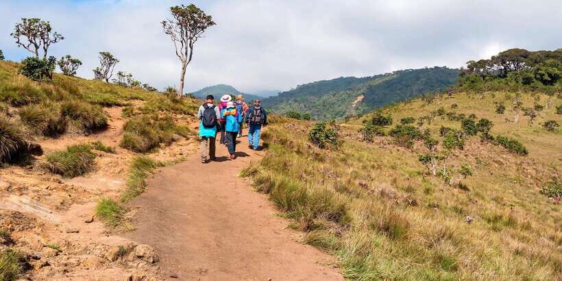 Visit Horton plains and Nuwara Eliya from Kandy - Key Highlights Worth Getting Excited About