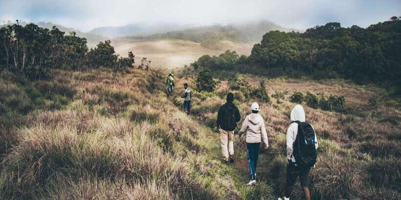 Visit Horton plains and Nuwara Eliya from Kandy - Fitness, Health, and Comfort: Who This Day Tour Works For