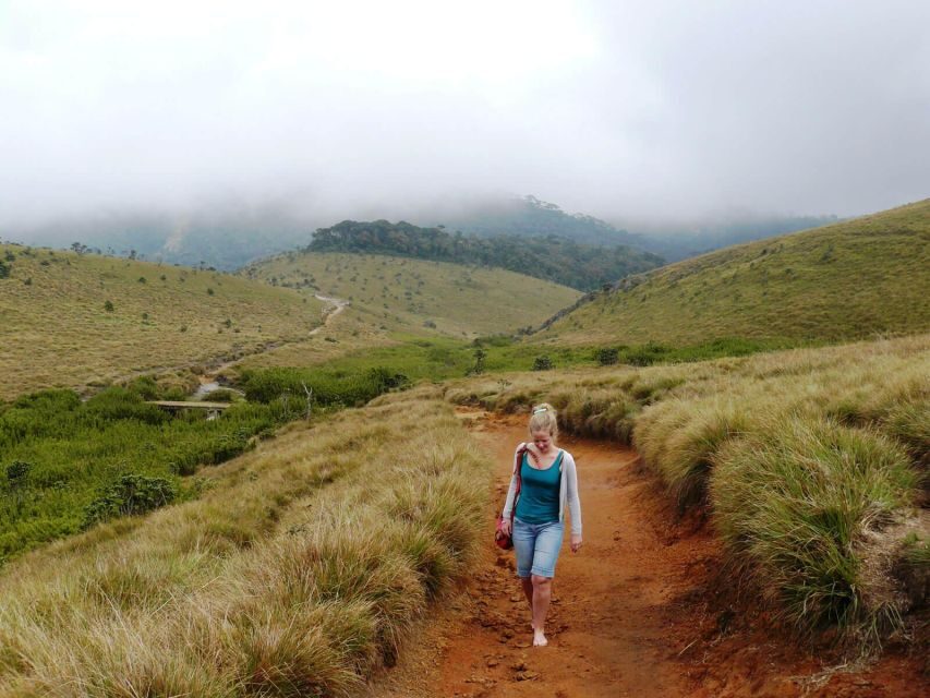 Visit Horton plains and Nuwara Eliya from Kandy - Nuwara Eliya: Little England Charm Plus Photo Stops in Real Time