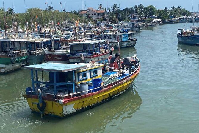 Visit Negombo by Scooty - All Inclusive - Scooty, tuk tuk, van, or car: picking your ride