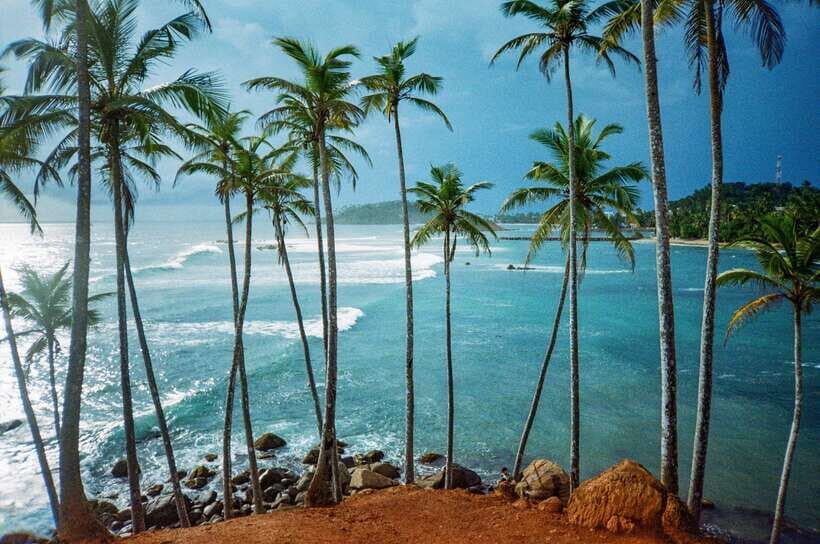 Visit sri Lanka 7 Days Round Trip - Day 3: Tea country, waterfalls, Little England, and the train to Ella