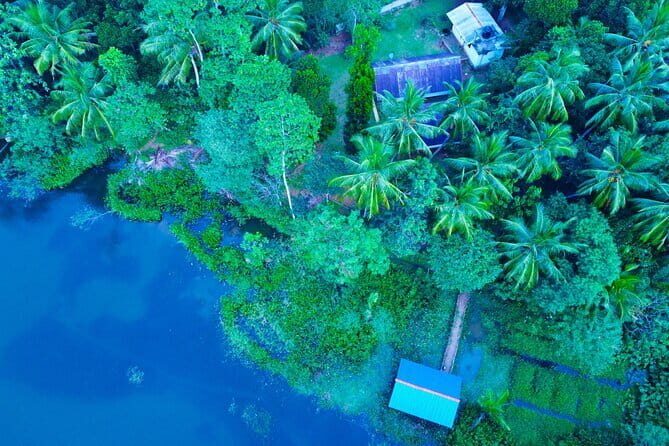 Walawe Palm Safari Udawalawe - Udawalawe Safari: why this setup feels like good value