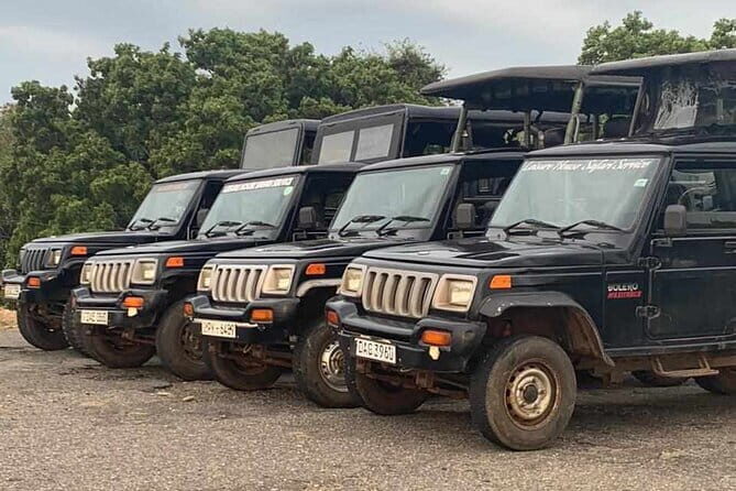 Walawe Palm Safari Udawalawe - The 4x4 ride and private group advantage