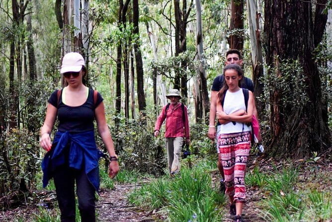 Wasgamuwa National Park Safari from Kandy - Spotting strategy: what to focus on during the drive