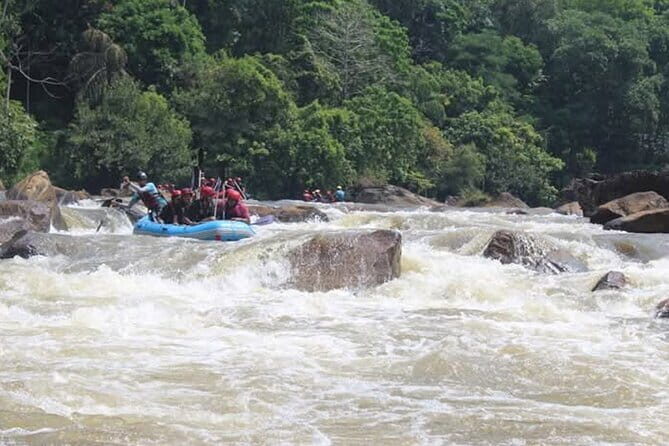 Wasgamuwa National Park Safari from Kandy - Kandy stop: a quick cultural reset