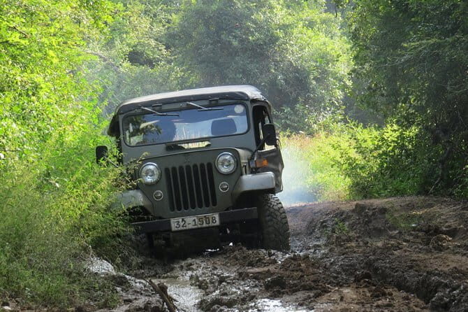 Wasgamuwa National Park Safari from Kandy - The guided jeep safari: where you’ll spot animals