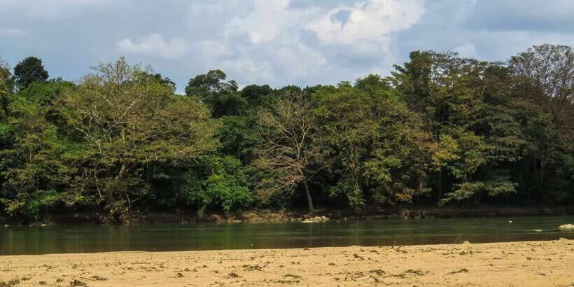 Wasgamuwa: Wasgamuwa National Park Private 3-Hour Safari - Who This Safari Is For