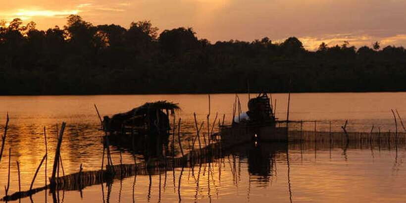 West coast Beach, River Mangroves lagoon, Wildlife boat Tour - Price and logistics: when $90 really feels fair