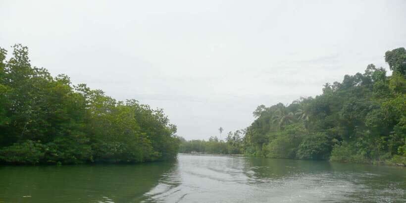 West coast Beach, River Mangroves lagoon, Wildlife boat Tour - Temple island, mask museum, and carving center: culture you can’t rush