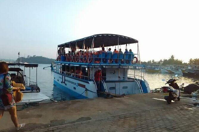 Whale Watching Experience in Mirissa - Price and value: what $70 covers in a whale search